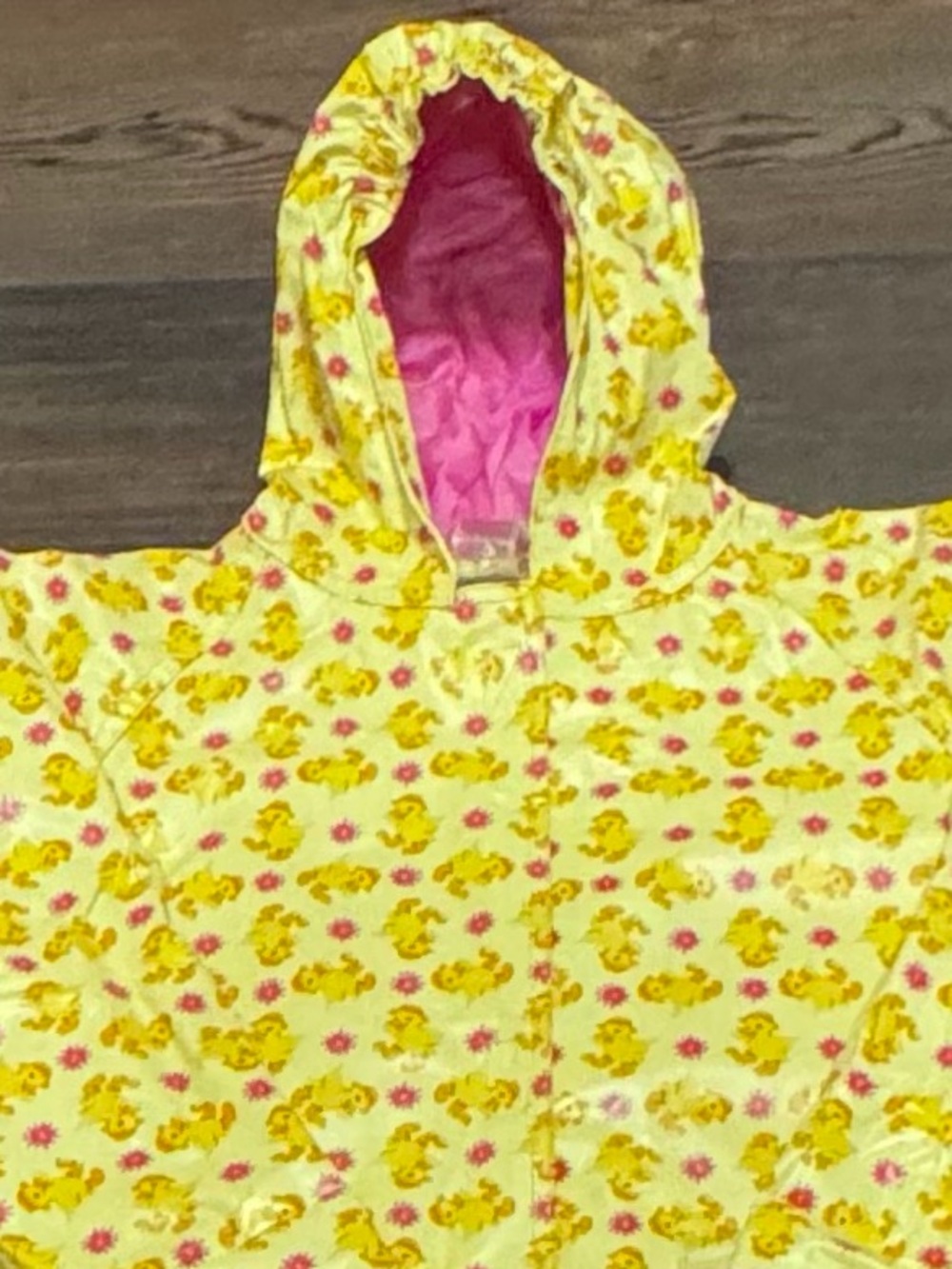 Totes Raincoat